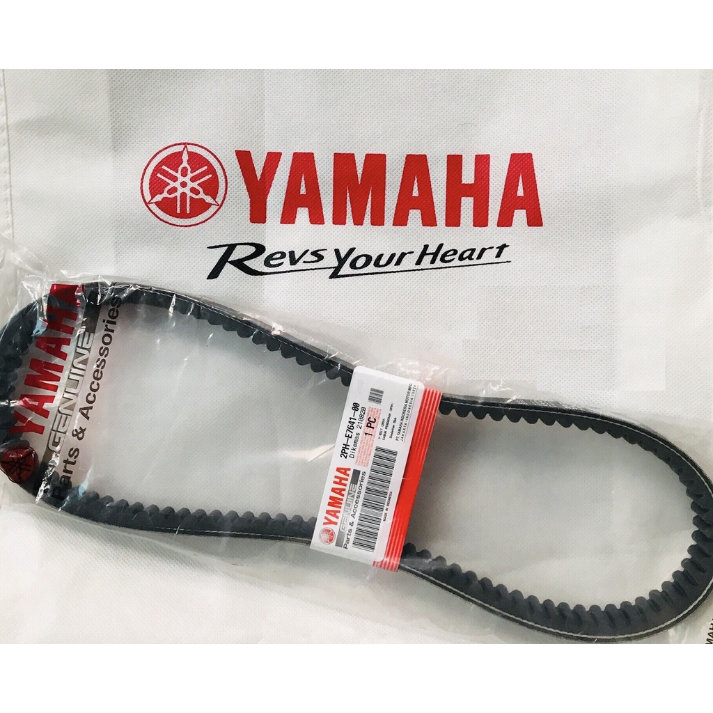 Fan Belt